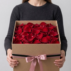Лепестки красных роз